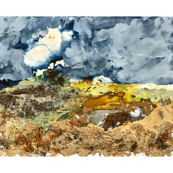 Paul Rebeyrolle — “Wild boar on the plain”.