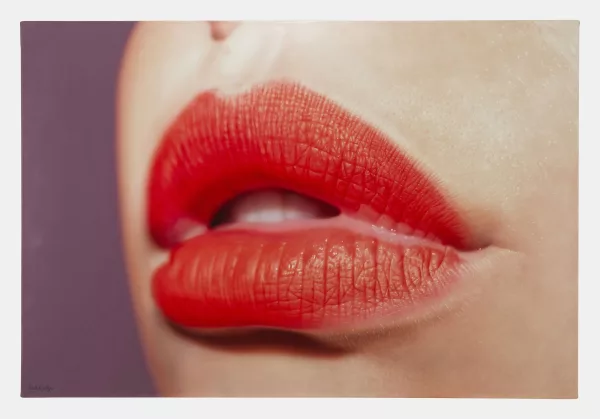 Hubert de Lartigue — Annliz