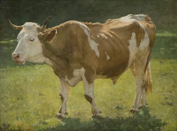 Richard Voltz — Stier