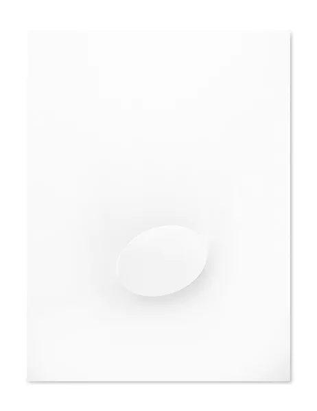 Turi Simeti — Un ovale blanc, 1969