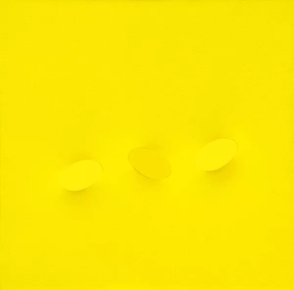 Turi Simeti — Sans titre, 2000