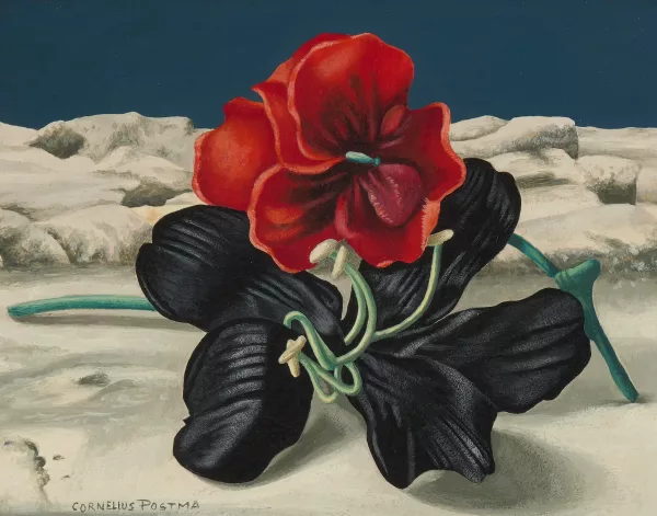 Kor Postma — Blumenstillleben mit schwarzer Lilie