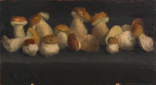 Antonio Calderara — Funghi