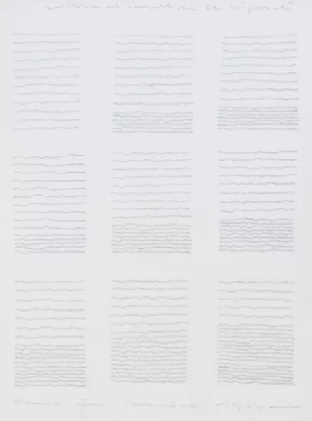 Leo Erb — Leben und Tod der Linie, 1974