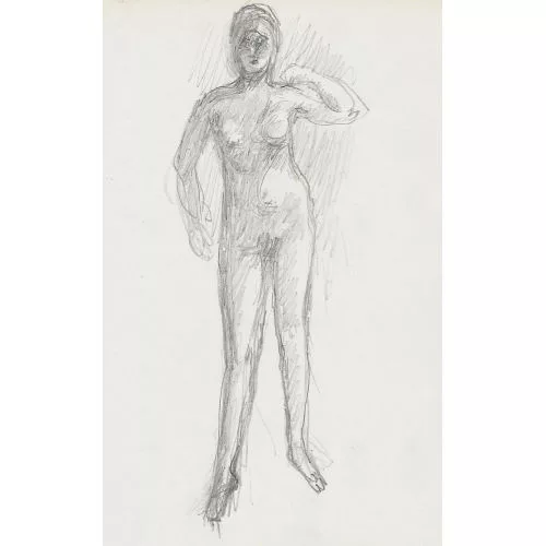 Pierre Bonnard — Akt