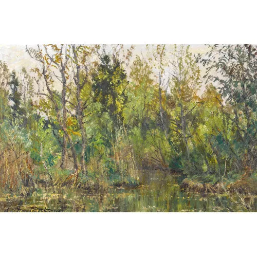 Stefan Domaradzki — Auenlandschaft