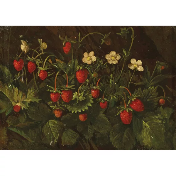Franz Xaver Pieler — Plant de fraisier des bois avec fleurs et fruits.