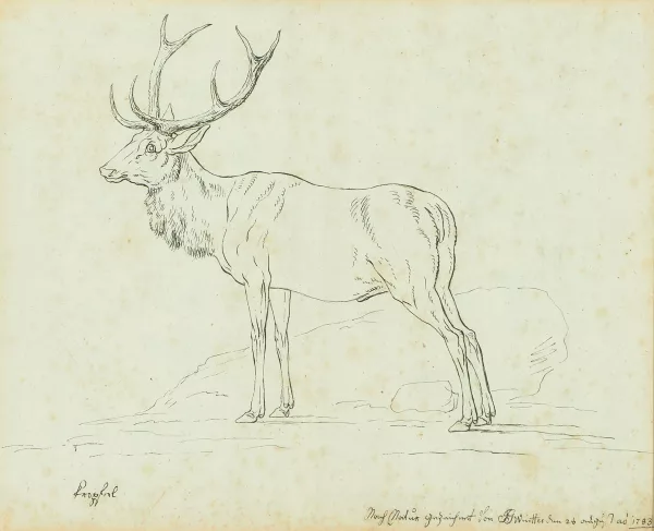 Joseph Georg Winter — Title Not Stated