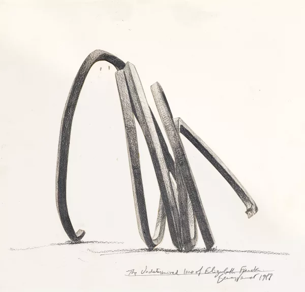 Bernar Venet — The Undetermined Line of Elizabeth Franck, 1988