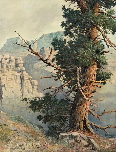 Fred Fredden Goldberg — Pin et paysage de l'ouest américain