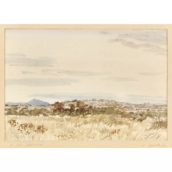 Adolph Stephan Friedrich Jentsch — "S.W. Africa".