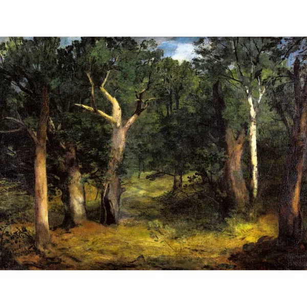 Otto Fröhlich — Paysage forestier