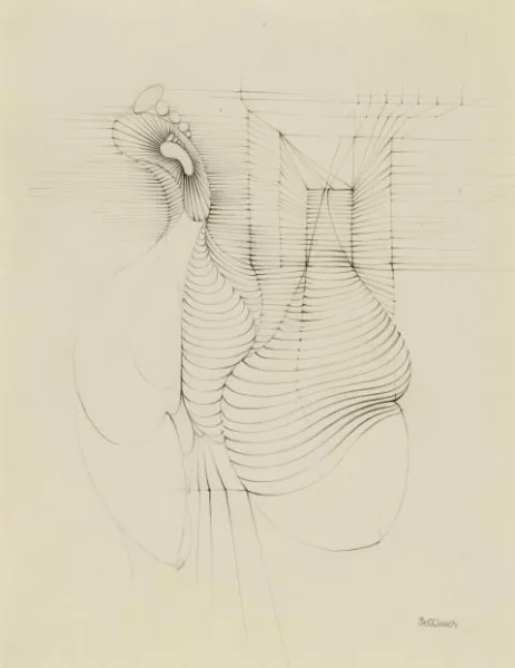 Hans Bellmer — Étude pour "Claquemur"