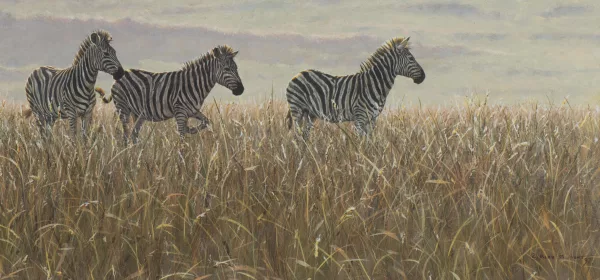 Alan M. Hunt — Alan M. HUNT (1947), 'Grassland Zebras', huile