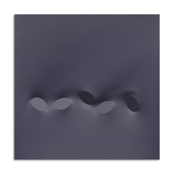 Turi Simeti — Cinq ovales, 1999