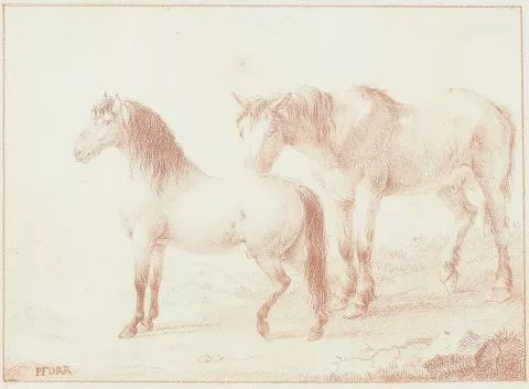 Franz Pforr — Pferdestudien
