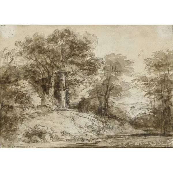 Friedrich Gauermann — Paysage forestier