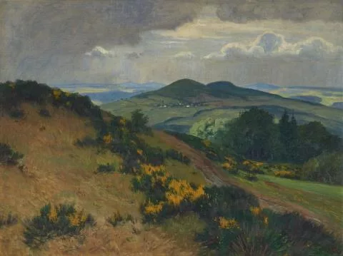 Fritz von Wille — Blühender Ginster in der Eifel
