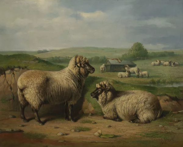 Edward Lloyd — Edward Lloyd (act.1846-1891), Moutons, huile sur