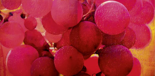 Tim Maguire — Diptychon. Untitled 99051 (luminous red grapes), 1999