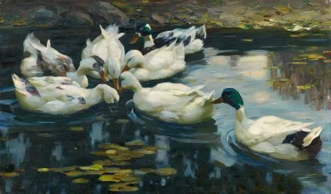 Alexander Koester — Enten im Seerosenteich nahe dem steinigen Ufer