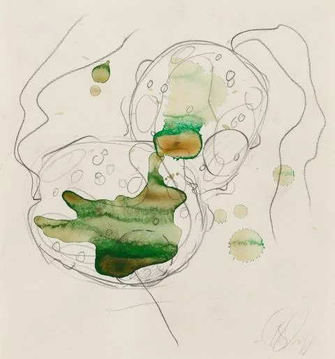 Tony Cragg — Sans titre