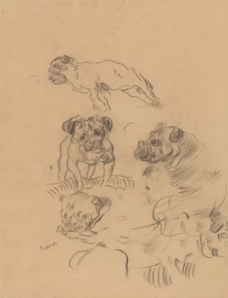 James Ensor — Etude de chiens