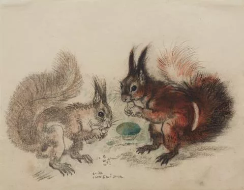 Ludwig Heinrich Jungnickel — Zwei Eichhörnchen