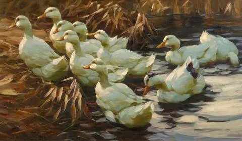 Alexander Koester — Enten aus dem Wasser gehend