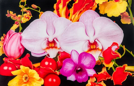 Marc Quinn — Under the Volcano, Stromboli Italy, 2011