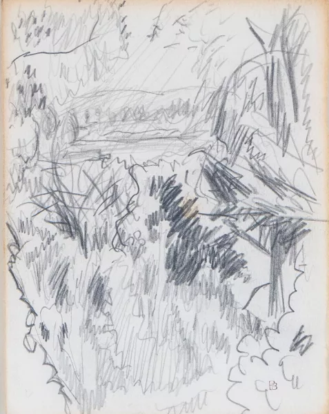 Pierre Bonnard — La Seine vue du jardin