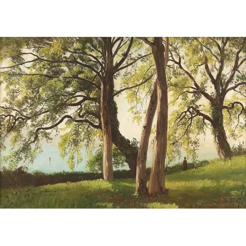 Philippe George — Parc en été au bord du Léman