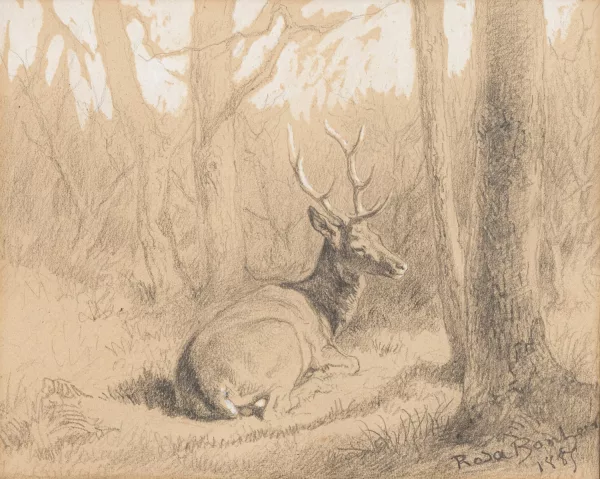 Rosa Bonheur — Cerf dans un sous-bois,