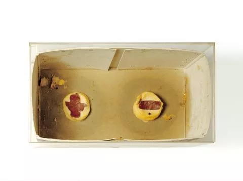 Joseph Beuys — Wechselstromaggregat