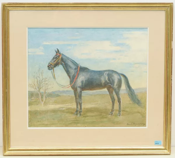 IWAN EDWIN HUGENTOBLER — Pferd
