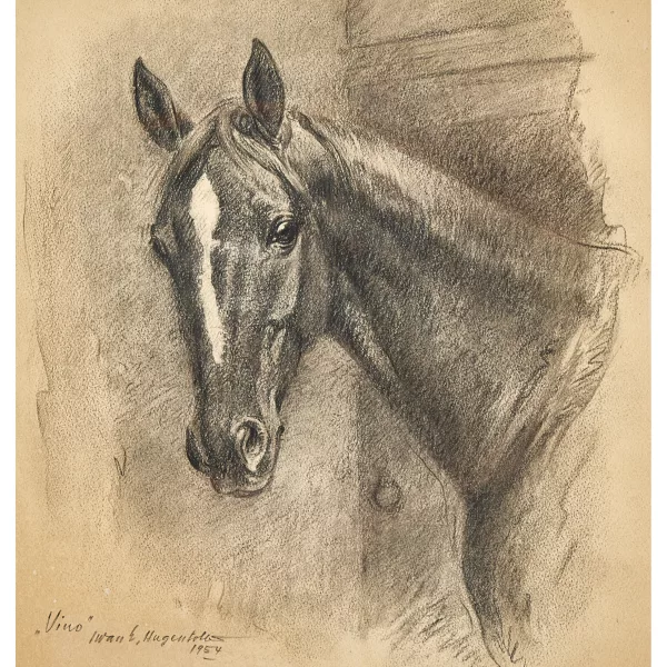 IWAN EDWIN HUGENTOBLER — Pferd "Vino".