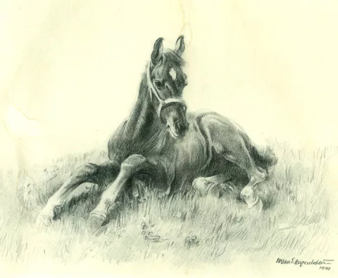 IWAN EDWIN HUGENTOBLER — Rastendes Fohlen im Gras, 1941