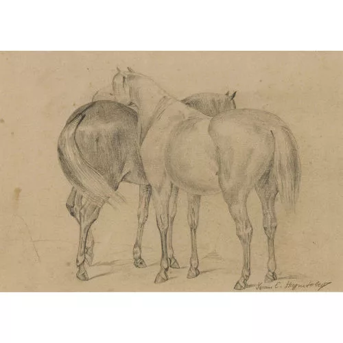 IWAN EDWIN HUGENTOBLER — Pferde.