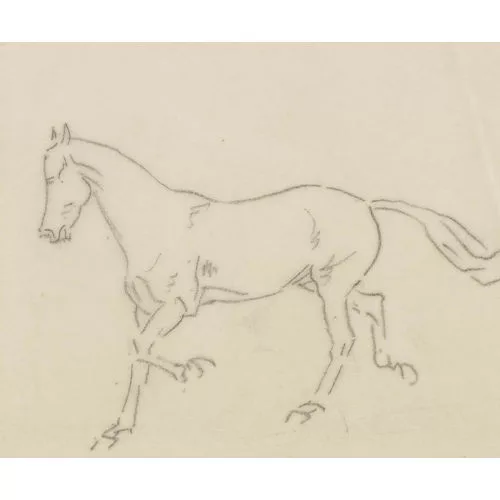 IWAN EDWIN HUGENTOBLER — Pferdestudie.