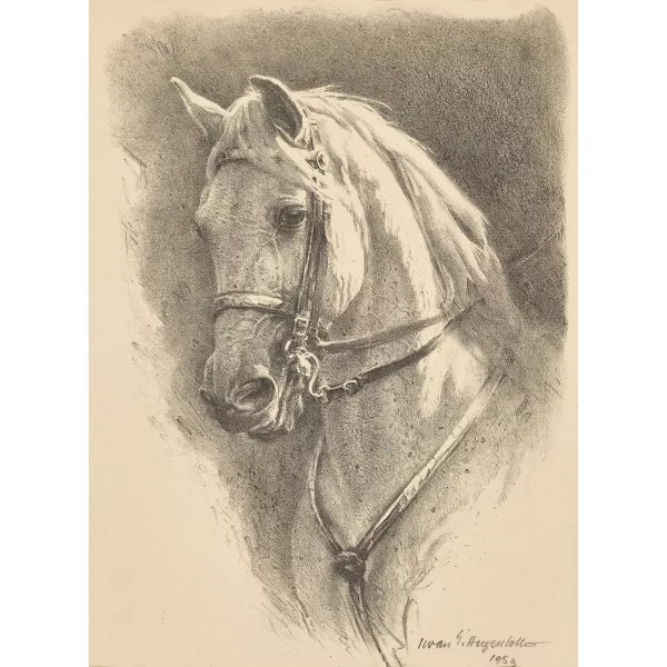 IWAN EDWIN HUGENTOBLER — Kopf eines Schimmels.