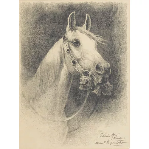 IWAN EDWIN HUGENTOBLER — "Edelstes Blut (Araber)".