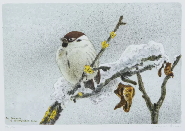 Jacques Rime — Jacques RIME (1951), 'Oiseau en hiver', gravure sur bois