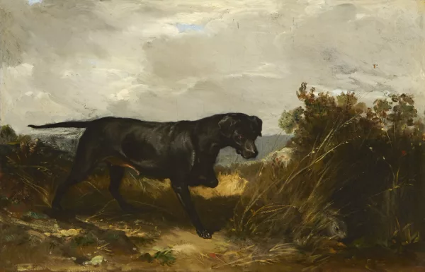 Jacques-Laurent Agasse — Hund in Landschaft