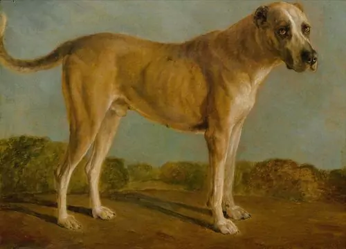 JACQUES-LAURENT AGASSE — Jagdhund. 1797. — Koller Auktionen