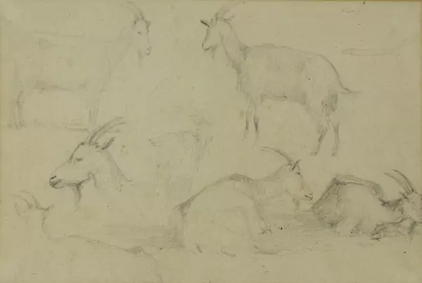 Attribué à Jacques Laurent Agasse (1767-1849) — Genève Enchères