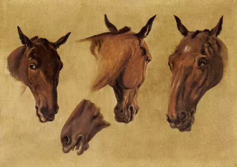 Etudes de la tête d'un cheval, um 1799