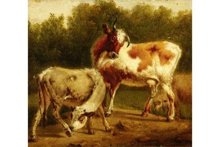 Vache et veau