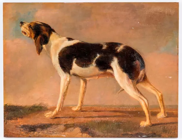 Chien qui aboie