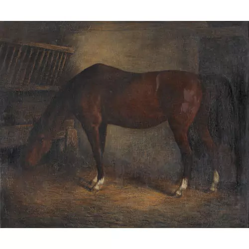 Pferd im Stall