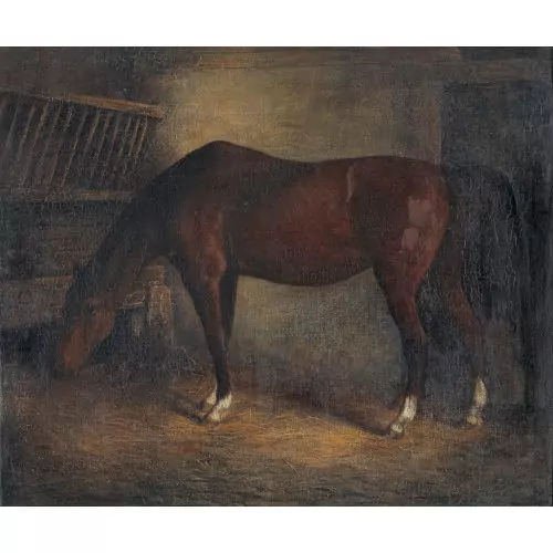 Pferd im Stall